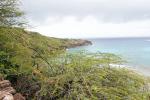 Haunama Bay Snorkeling