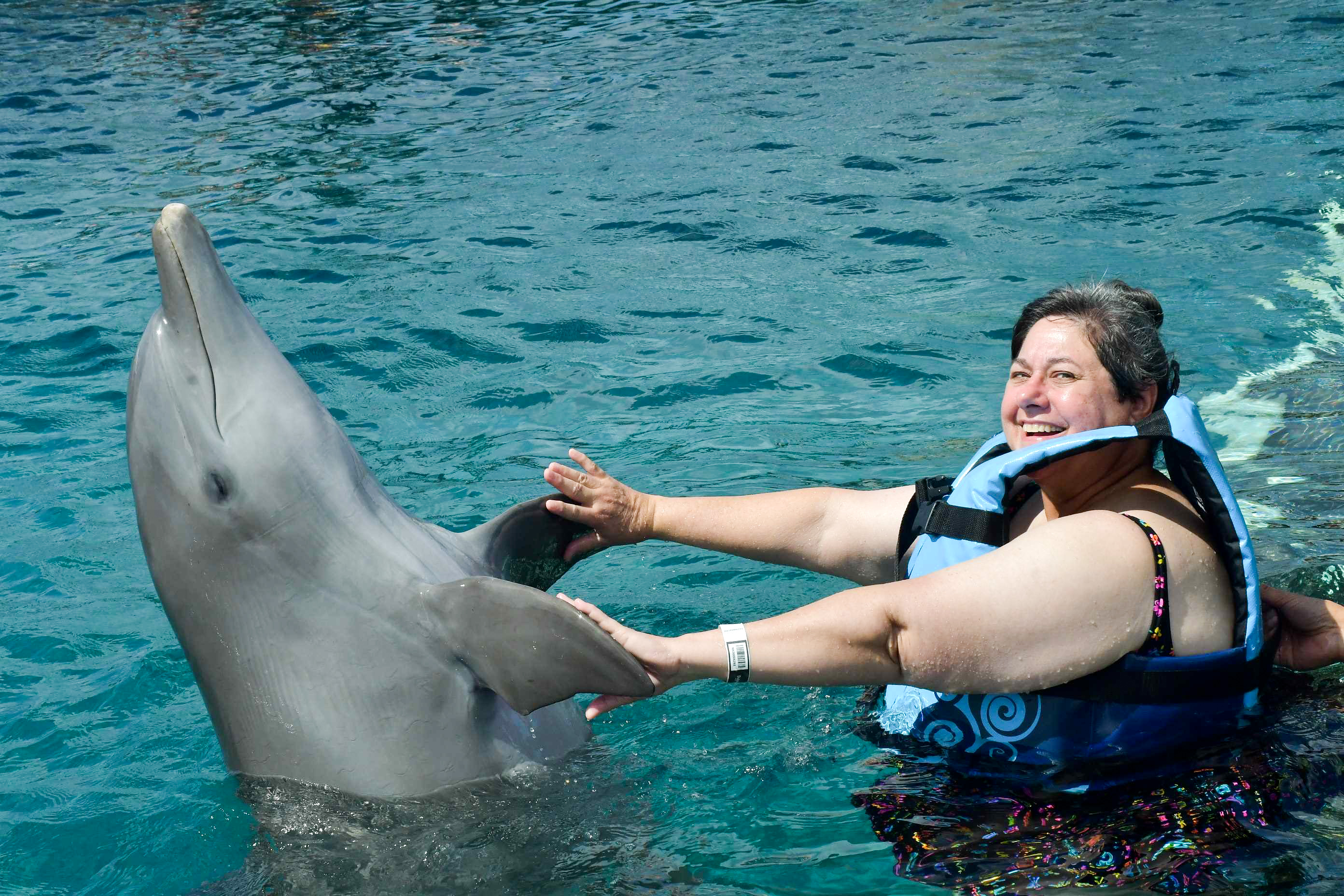 Swimming with dolphins