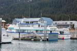 Kenai Whale Watching