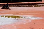 Salt Crystals at Salt Pond