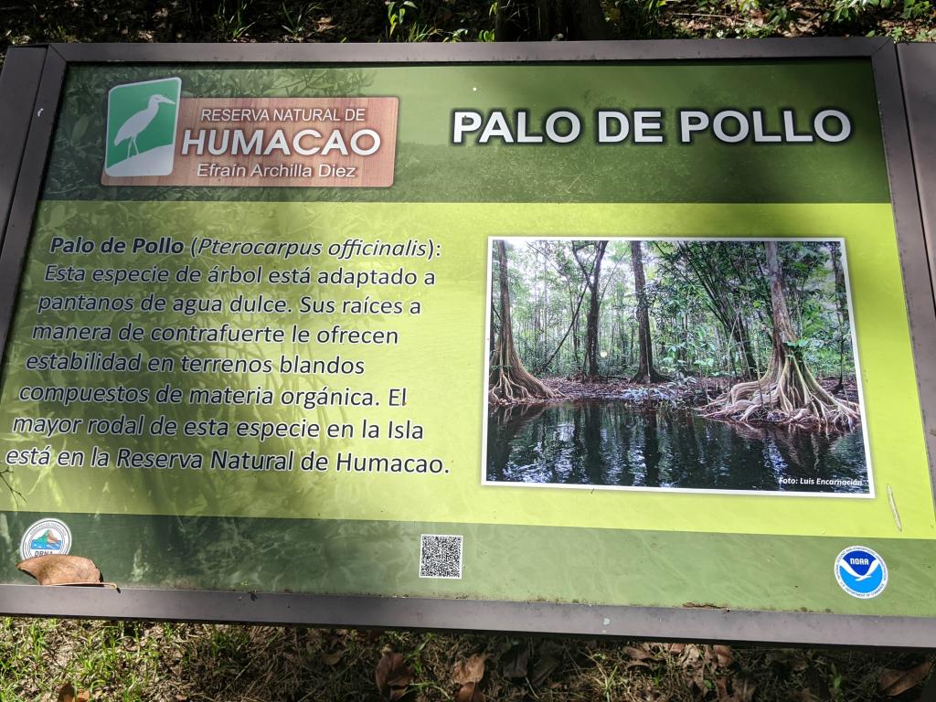 Humacao Nature Reserve